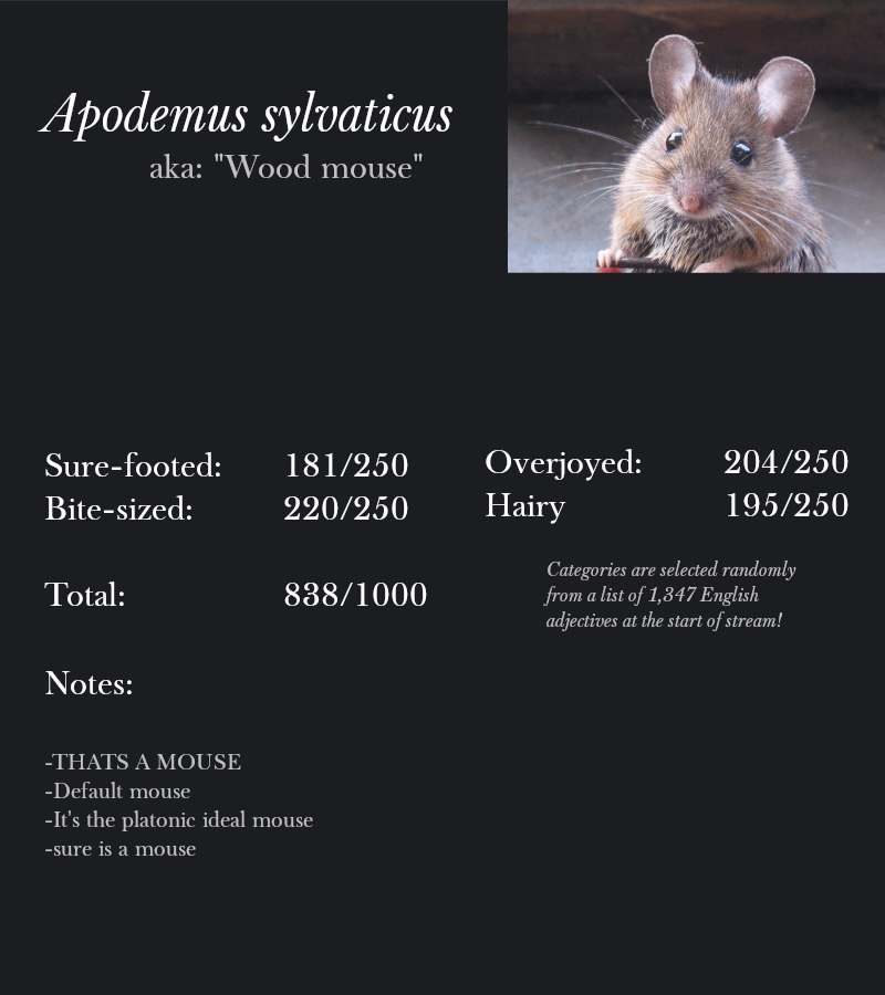 Apodemus sylvaticus